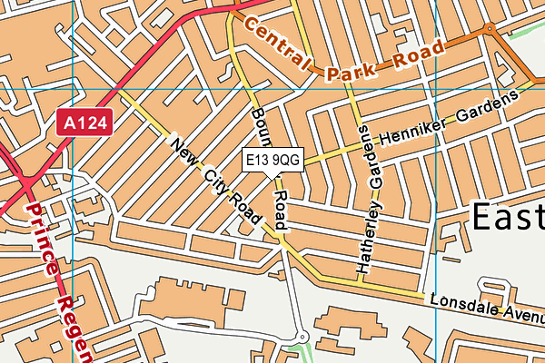 E13 9QG map - OS VectorMap District (Ordnance Survey)