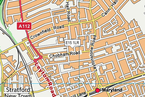 E15 1LR map - OS VectorMap District (Ordnance Survey)