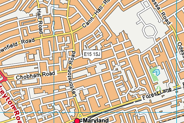 E15 1SJ map - OS VectorMap District (Ordnance Survey)