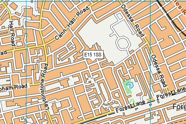 E15 1SS map - OS VectorMap District (Ordnance Survey)