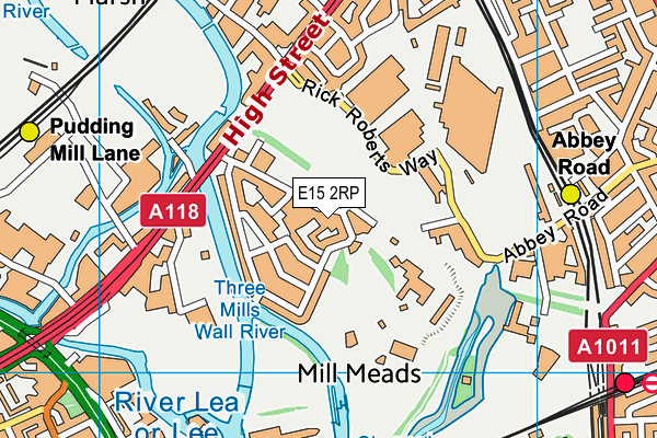 E15 2RP map - OS VectorMap District (Ordnance Survey)