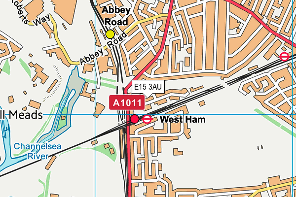 E15 3AU map - OS VectorMap District (Ordnance Survey)