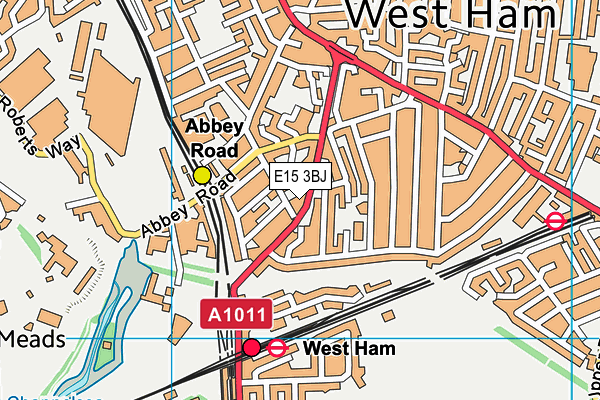 E15 3BJ map - OS VectorMap District (Ordnance Survey)