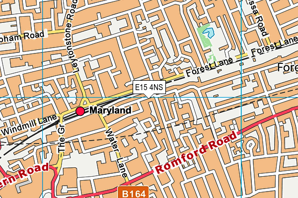 E15 4NS map - OS VectorMap District (Ordnance Survey)