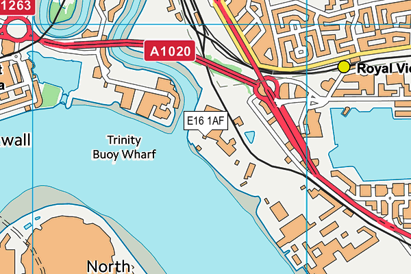 E16 1AF map - OS VectorMap District (Ordnance Survey)