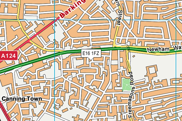 E16 1FZ map - OS VectorMap District (Ordnance Survey)