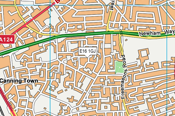 E16 1GJ map - OS VectorMap District (Ordnance Survey)