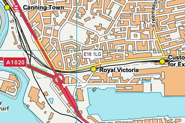 E16 1LG map - OS VectorMap District (Ordnance Survey)