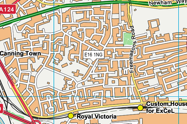 E16 1NG map - OS VectorMap District (Ordnance Survey)