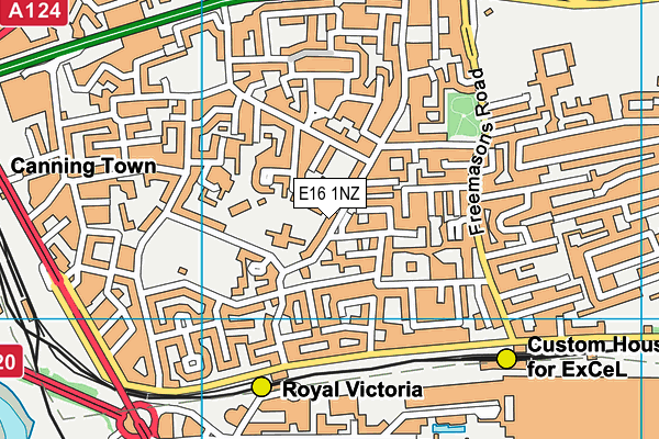 E16 1NZ map - OS VectorMap District (Ordnance Survey)