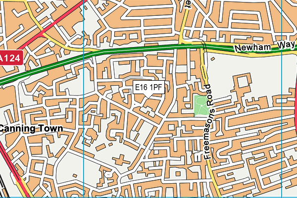 E16 1PF map - OS VectorMap District (Ordnance Survey)