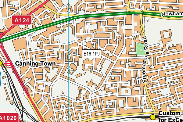 E16 1PJ map - OS VectorMap District (Ordnance Survey)