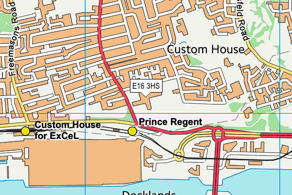 Royal Docks Academy map (E16 3HS) - OS VectorMap District (Ordnance Survey)
