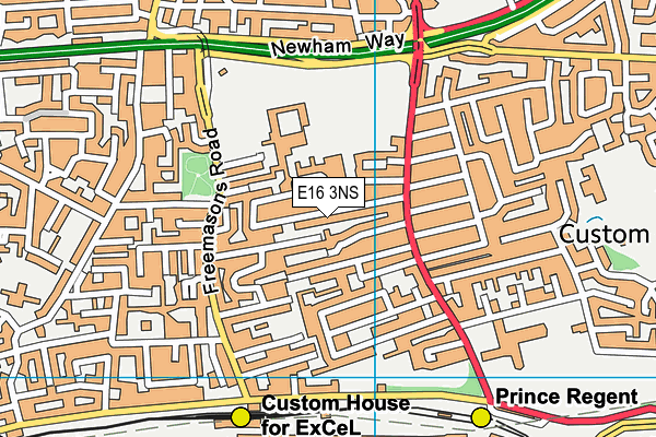 E16 3NS map - OS VectorMap District (Ordnance Survey)