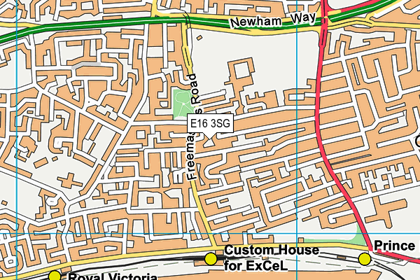 E16 3SG map - OS VectorMap District (Ordnance Survey)