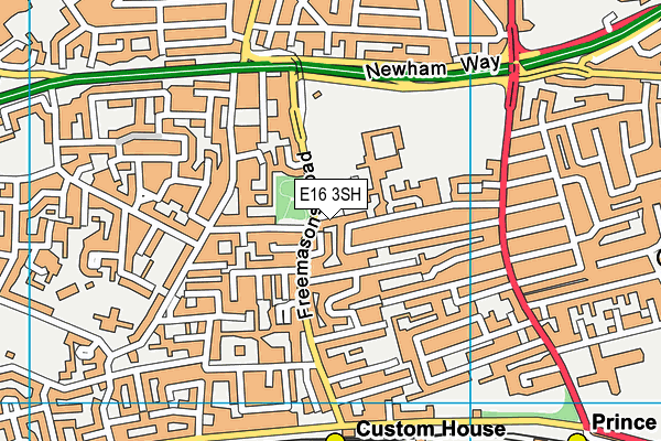 E16 3SH map - OS VectorMap District (Ordnance Survey)