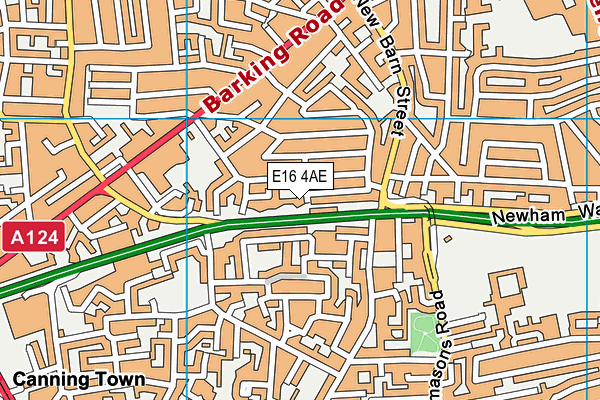 E16 4AE map - OS VectorMap District (Ordnance Survey)