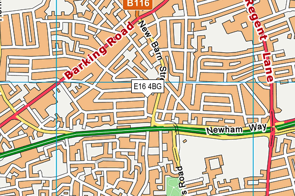 E16 4BG map - OS VectorMap District (Ordnance Survey)