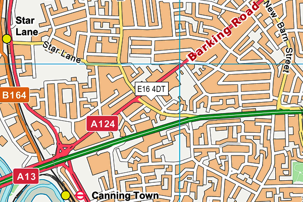 E16 4DT map - OS VectorMap District (Ordnance Survey)