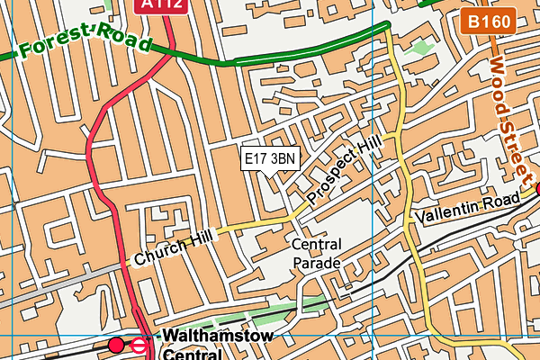 Emmanuel Community School map (E17 3BN) - OS VectorMap District (Ordnance Survey)