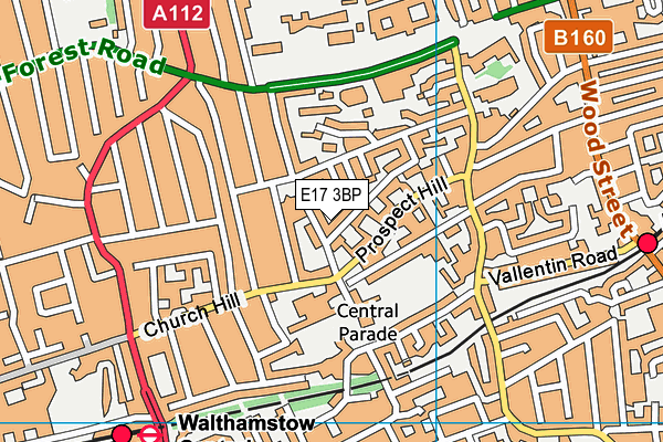 E17 3BP map - OS VectorMap District (Ordnance Survey)