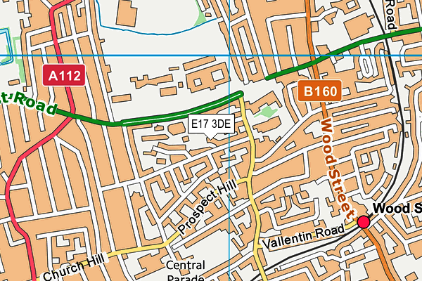 E17 3DE map - OS VectorMap District (Ordnance Survey)