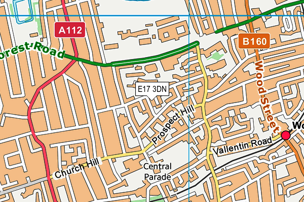 E17 3DN map - OS VectorMap District (Ordnance Survey)