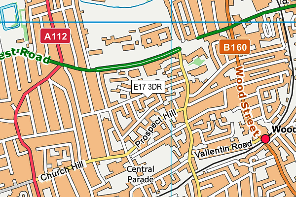 E17 3DR map - OS VectorMap District (Ordnance Survey)