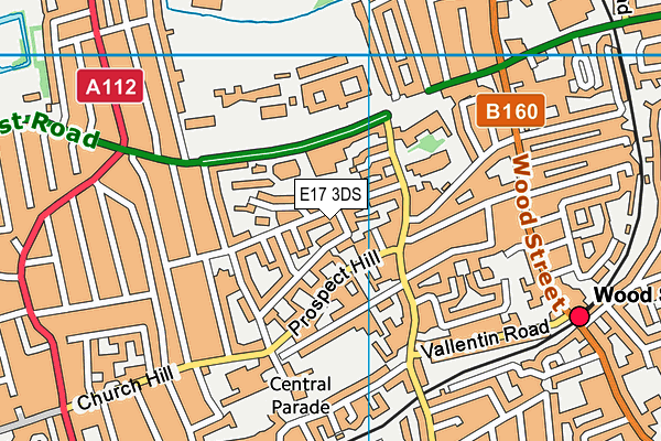 E17 3DS map - OS VectorMap District (Ordnance Survey)