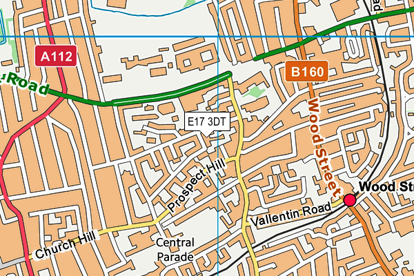 E17 3DT map - OS VectorMap District (Ordnance Survey)