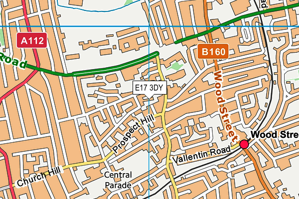 E17 3DY map - OS VectorMap District (Ordnance Survey)
