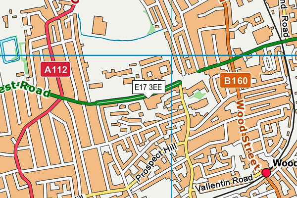 E17 3EE map - OS VectorMap District (Ordnance Survey)
