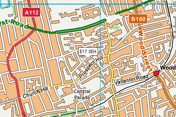 E17 3EH map - OS VectorMap District (Ordnance Survey)