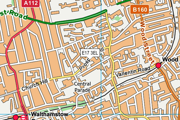 E17 3EL map - OS VectorMap District (Ordnance Survey)