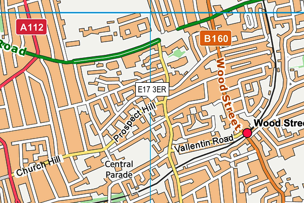 E17 3ER map - OS VectorMap District (Ordnance Survey)