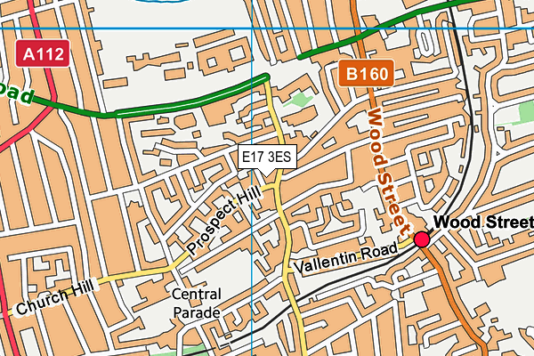 E17 3ES map - OS VectorMap District (Ordnance Survey)