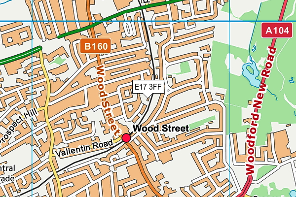 E17 3FF map - OS VectorMap District (Ordnance Survey)
