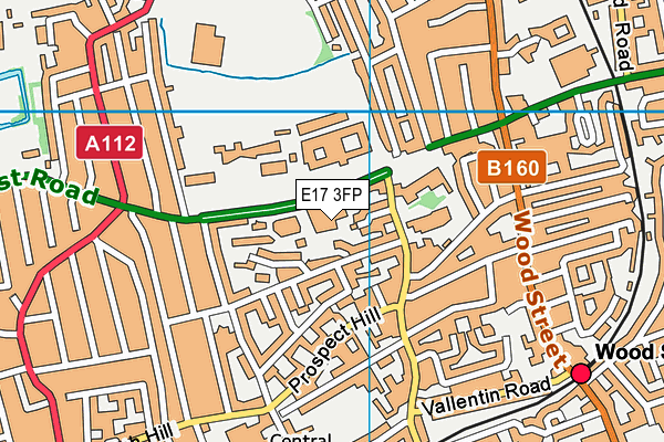 E17 3FP map - OS VectorMap District (Ordnance Survey)