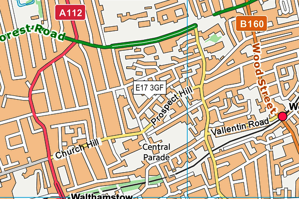 E17 3GF map - OS VectorMap District (Ordnance Survey)