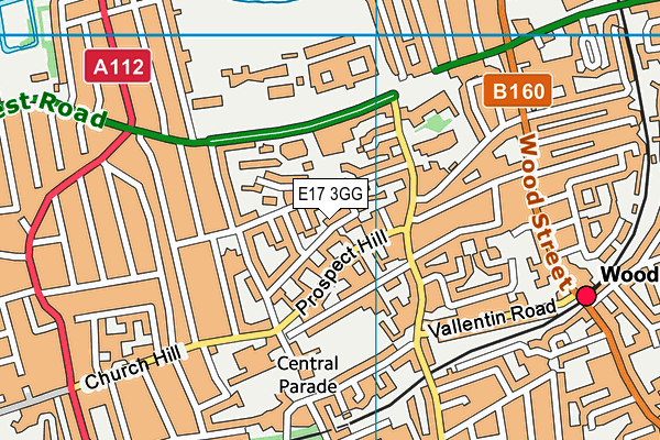 E17 3GG map - OS VectorMap District (Ordnance Survey)