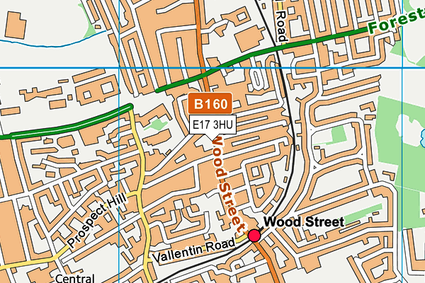 E17 3HU map - OS VectorMap District (Ordnance Survey)