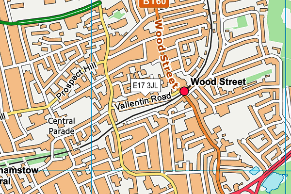 E17 3JL map - OS VectorMap District (Ordnance Survey)