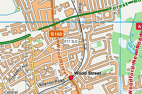 E17 3LG map - OS VectorMap District (Ordnance Survey)