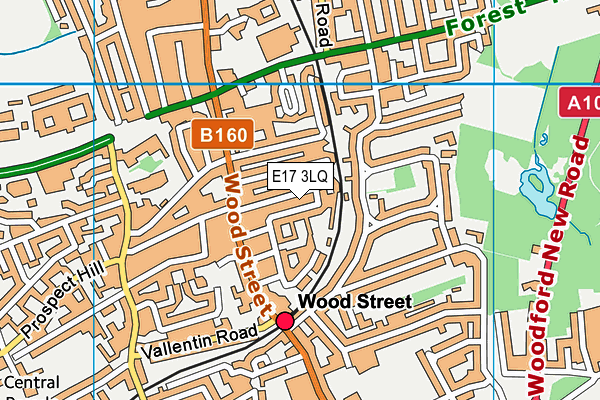 E17 3LQ map - OS VectorMap District (Ordnance Survey)