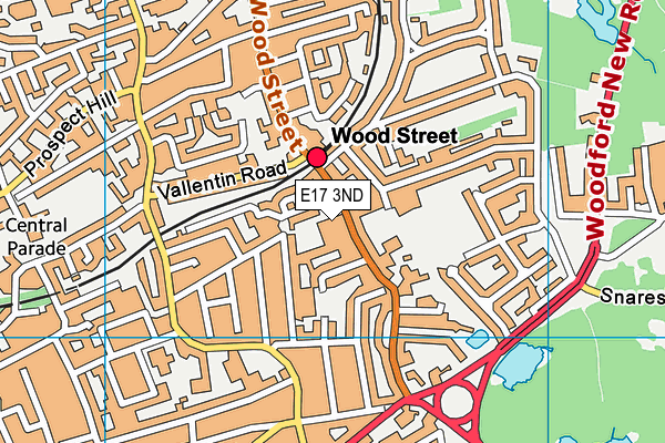 Warwick School For Boys (Closed) map (E17 3ND) - OS VectorMap District (Ordnance Survey)