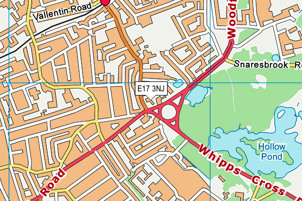 E17 3NJ map - OS VectorMap District (Ordnance Survey)