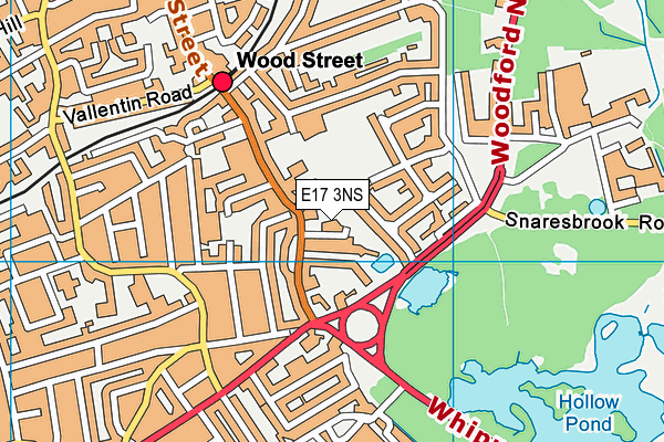 E17 3NS map - OS VectorMap District (Ordnance Survey)