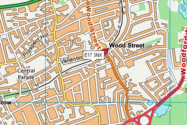 E17 3NX map - OS VectorMap District (Ordnance Survey)