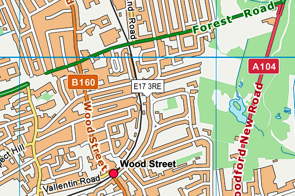 E17 3RE map - OS VectorMap District (Ordnance Survey)