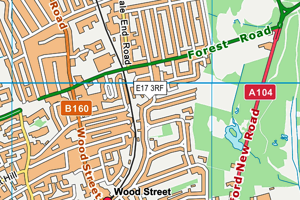E17 3RF map - OS VectorMap District (Ordnance Survey)